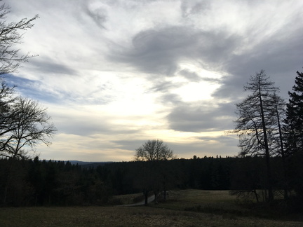 IMG 2880