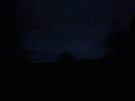 IMG 2572