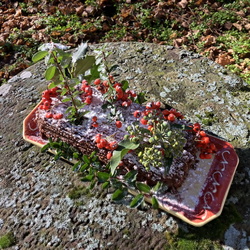 202312 - Noël 2023 HEIC