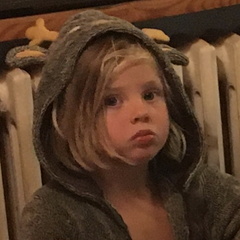 IMG 9006