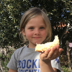 IMG 1735