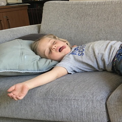 IMG 1736