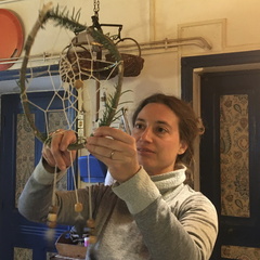 IMG 1933