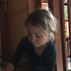 IMG 1979