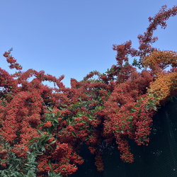 202509-10 - PARIS DIVERS & Co